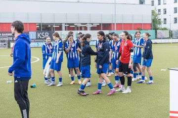 Bild 129 - wBJ Hamburger SV - FC Suederelbe : Ergebnis: 9:0